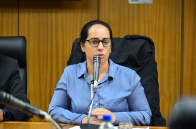 Yisela Araujo, foto archivo.