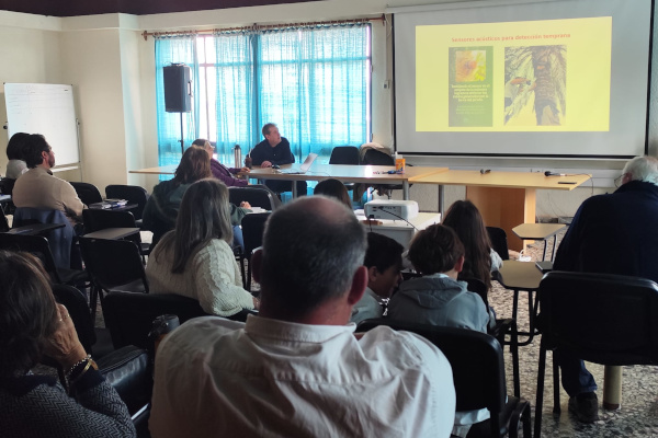 charla picudo rojo