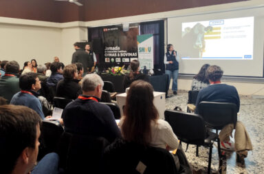 Jornadas Veterinarias en la sede de la CUCEL en Melo.