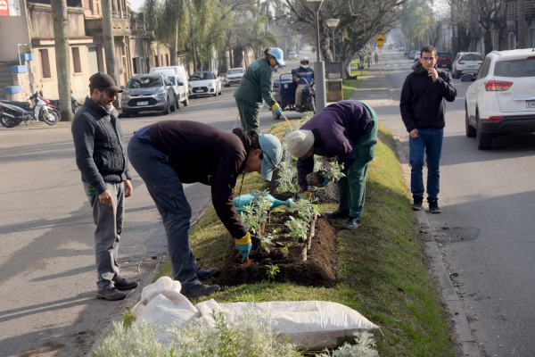 Dirección de Medio Ambiente impulsa mejoras en canteros y plazas.