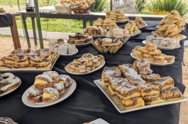 capacitación panadería, INR