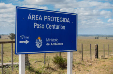 Paso centurión