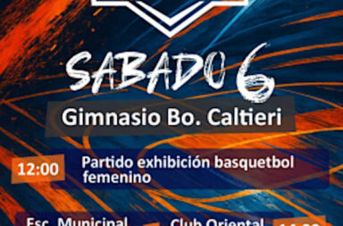 basket caltieri