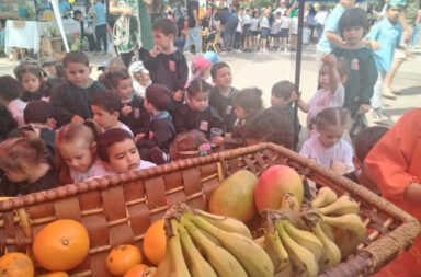 día de la alimentación en melo.