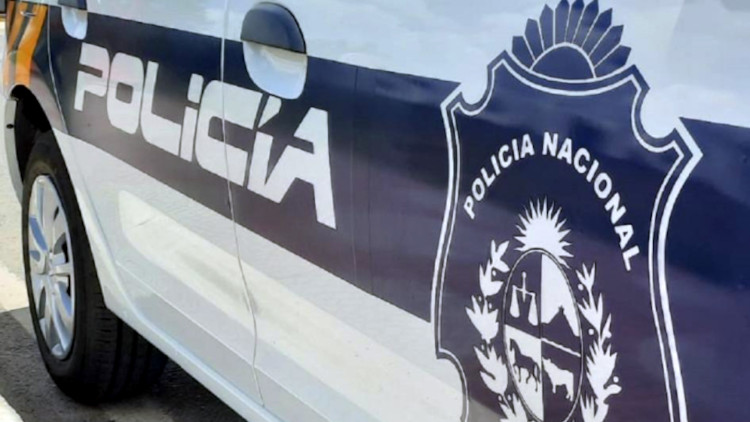 violencia doméstica y lesiones