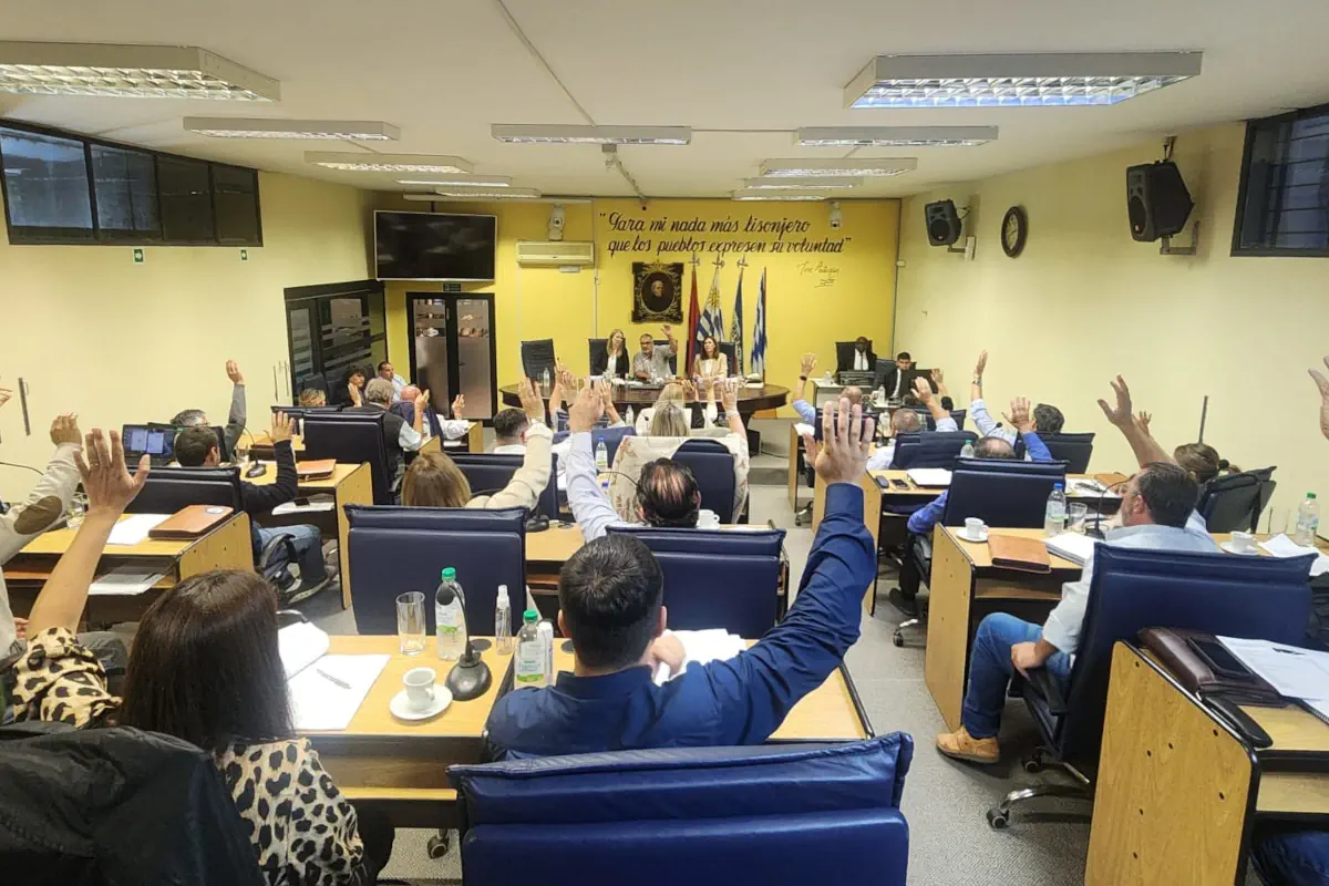 junta departamental