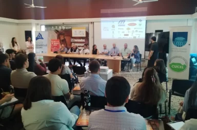 Veterinarios advierten por competencia irregular en la región y reclaman controles