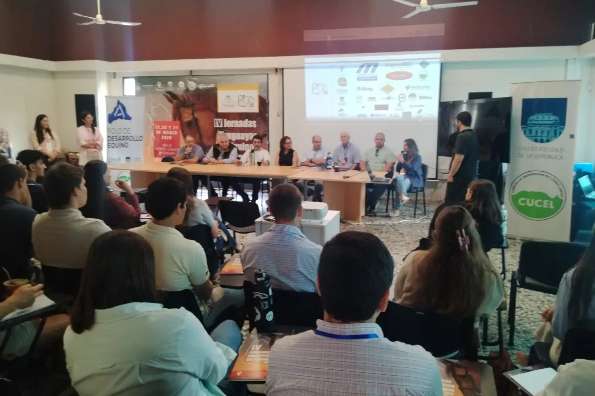 Veterinarios advierten por competencia irregular en la región y reclaman controles