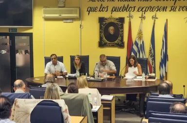 morel junta departamental