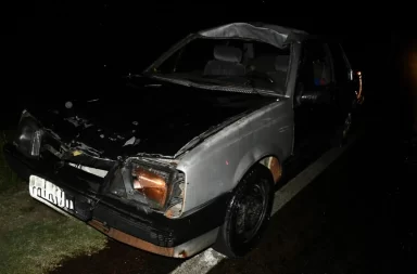 chocar contra un equino en Ruta 7