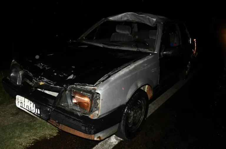 chocar contra un equino en Ruta 7