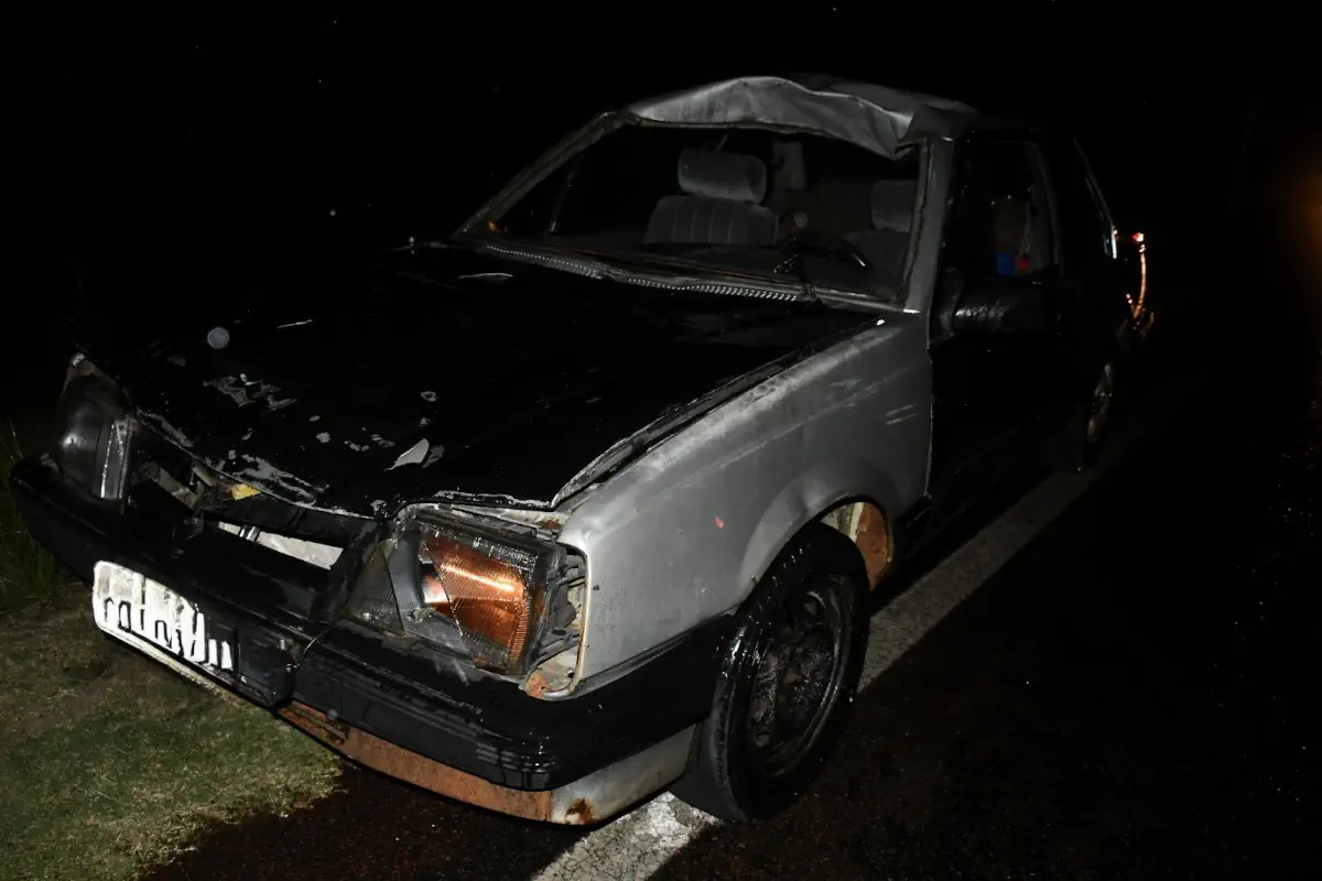 chocar contra un equino en Ruta 7