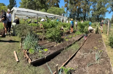 huertas comunitarias