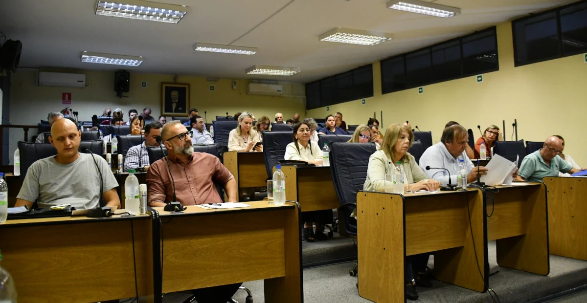 junta departamental