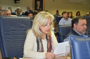 junta departamental 8m