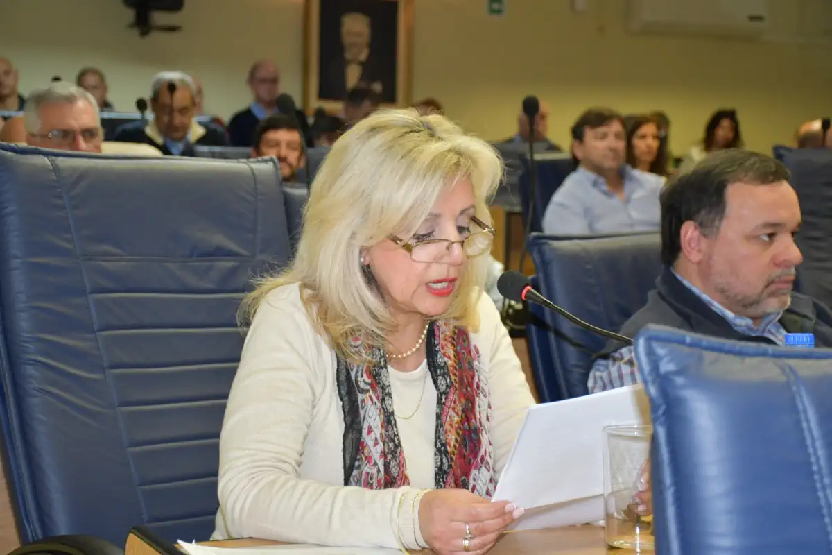 junta departamental 8m