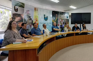 Copa Nacional Sub 16 de fútbol femenino