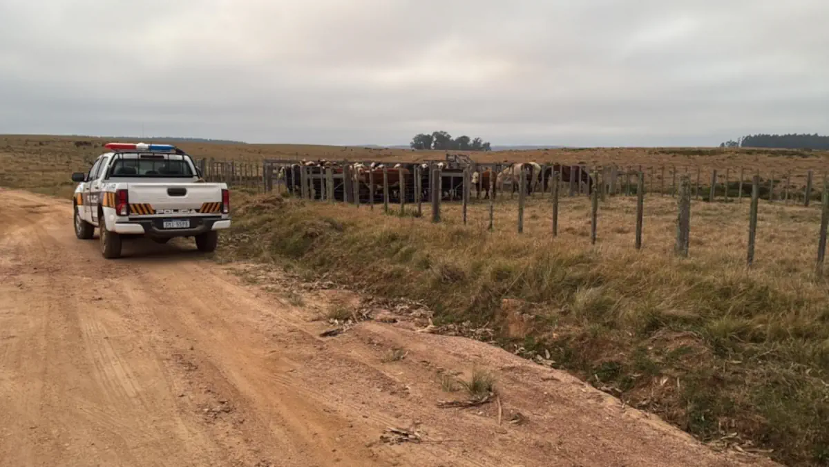 Brigada Rural