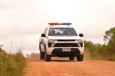 Refuerzan controles por animales sueltos en rutas y caminos de Cerro Largo