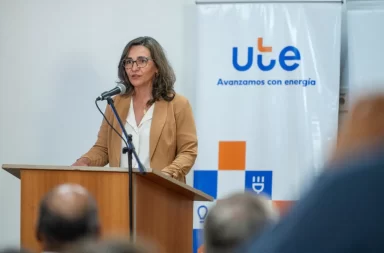 presidenta de UTE, Andrea Cabrera