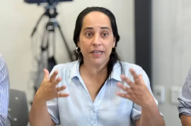 diputada yisela araujo