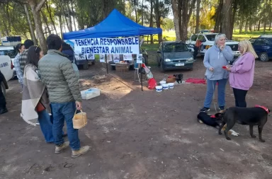 Bienestar Animal adoptaciones
