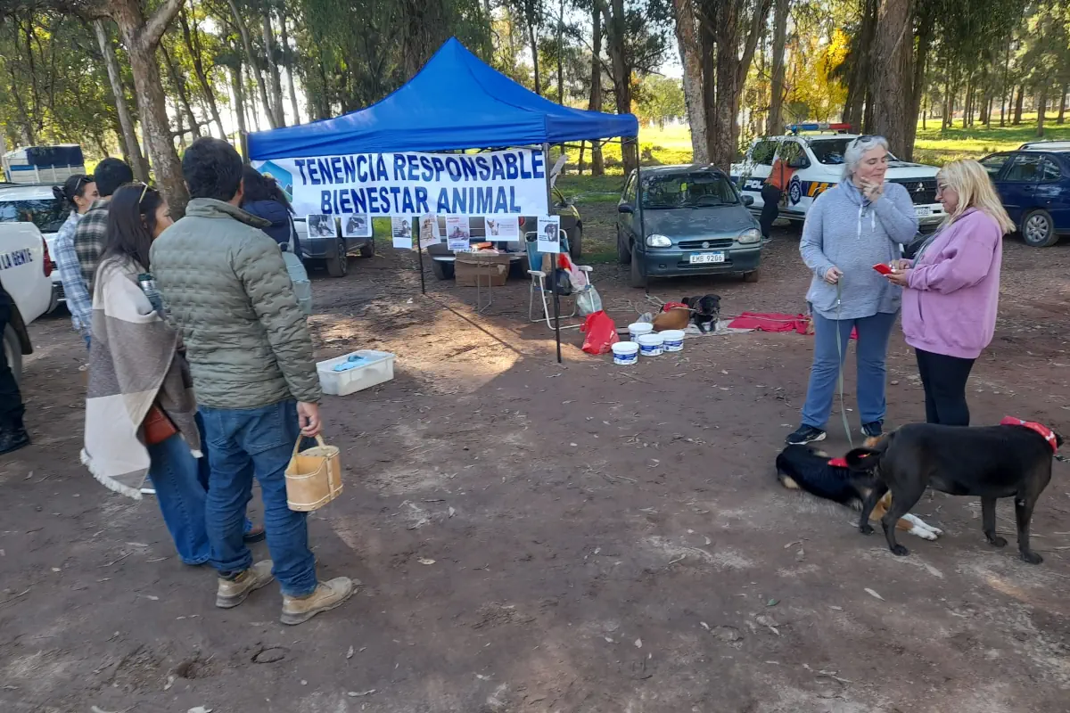 Bienestar Animal adoptaciones