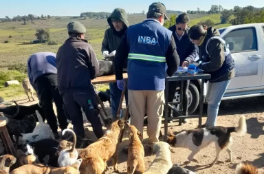 Jornada de vacunación antirrábica en Cerro Largo