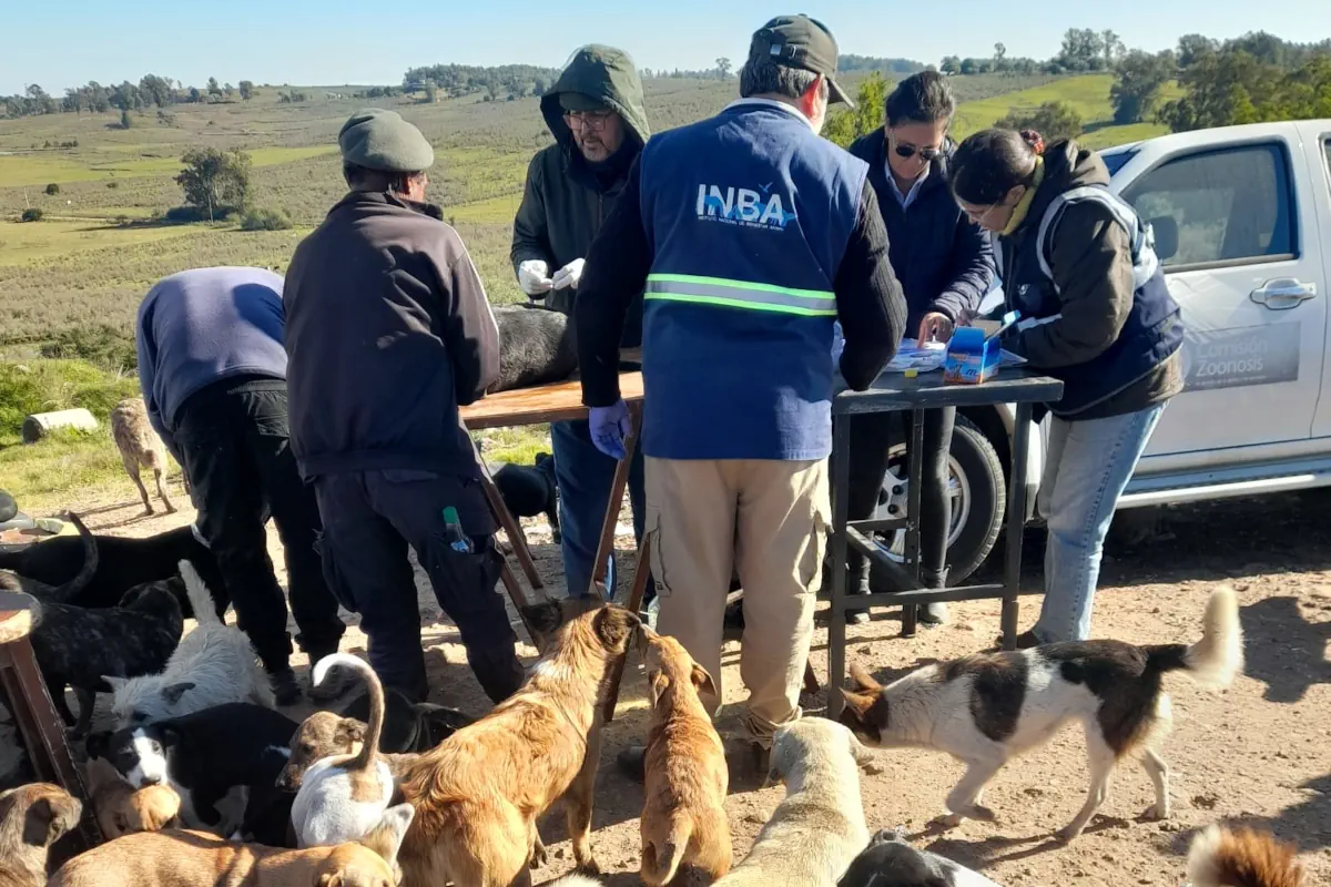 Jornada de vacunación antirrábica en Cerro Largo