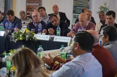 Congreso de Intendentes