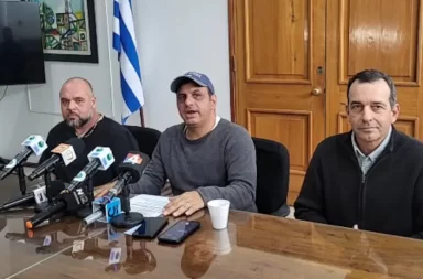 Intendencia suma asistencia para animales callejeros