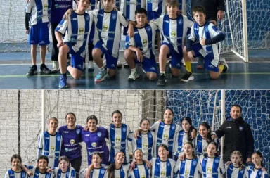 handball sub 12
