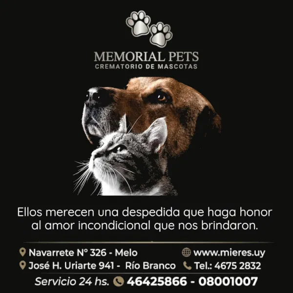 Publicidad
