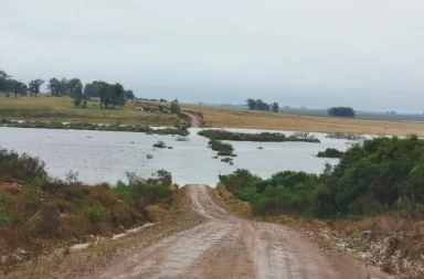temporal cerro largo