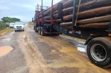 Multan a camión forestal