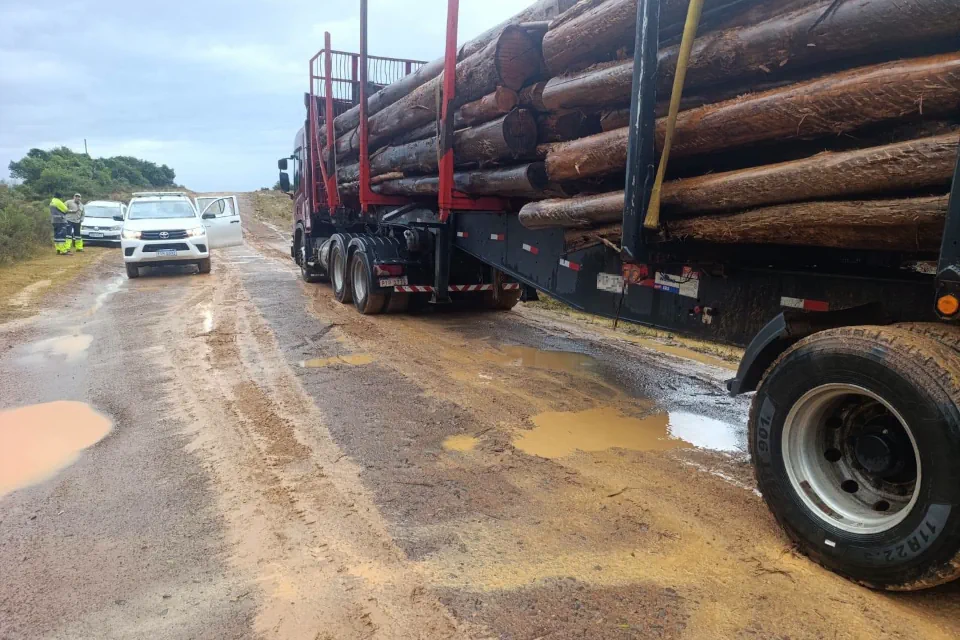 Multan a camión forestal