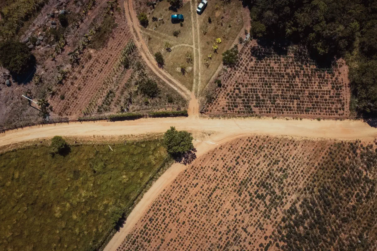 Agro pexels.com
