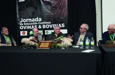 veterinaria, educación continua