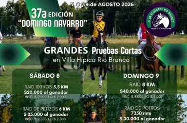 domingo navarro río branco