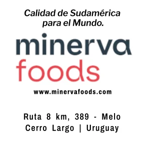 Publicidad