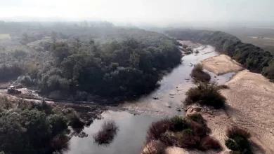 La costa del río Tacuarí, frente a Plácido Rosas, fue objeto de actuaciones tras una denuncia por intervenciones que excedían las autorizaciones.