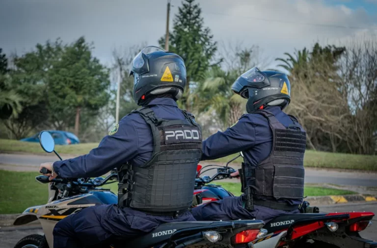 policiales