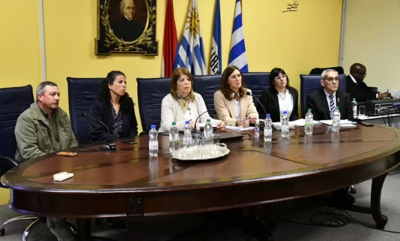 Gabriela Porley destacó la coordinación interinstitucional como uno de los pilares del trabajo de la Junta Departamental de Drogas.