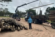 El Municipio de Laguna Merín incorporó nueva maquinaria y prepara una importante intervención en la red de alumbrado público.