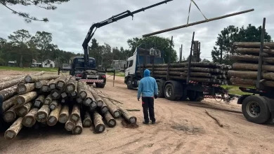 El Municipio de Laguna Merín incorporó nueva maquinaria y prepara una importante intervención en la red de alumbrado público.
