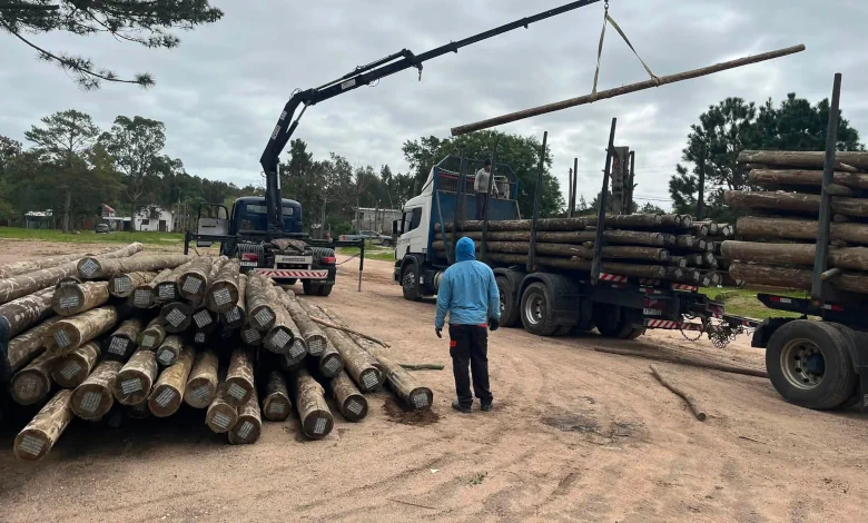 El Municipio de Laguna Merín incorporó nueva maquinaria y prepara una importante intervención en la red de alumbrado público.