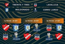 fútbol femenino