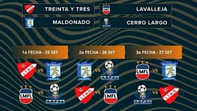 fútbol femenino