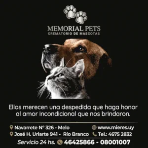 Publicidad