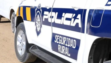 El procedimiento policial permitió recuperar productos de origen ovino sustraídos de un establecimiento rural (Foto archivo Ministerio del Interior)